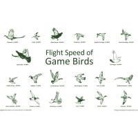 Game Birds Gun Cleaning Towel